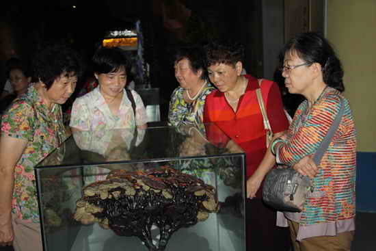 杭州亞運(yùn)會(huì)官方靈芝產(chǎn)品供應(yīng)商|杭州亞運(yùn)會(huì)官方供應(yīng)商|中國(guó)靈芝十大品牌|仙客來靈芝|仙客來靈芝破壁孢子粉|仙客來孢子油|仙客來靈芝飲片|仙客來破壁孢子粉|靈芝孢子油|孢子粉|靈芝破壁孢子粉|靈芝|中華老字號(hào)