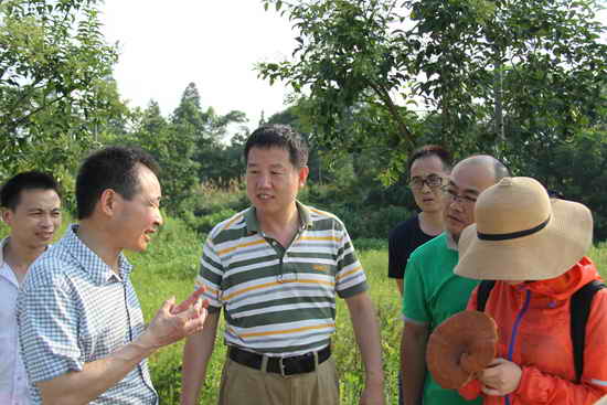 杭州亞運會官方靈芝產(chǎn)品供應商|杭州亞運會官方供應商|中國靈芝十大品牌|仙客來靈芝|仙客來靈芝破壁孢子粉|仙客來孢子油|仙客來靈芝飲片|仙客來破壁孢子粉|靈芝孢子油|孢子粉|靈芝破壁孢子粉|靈芝|中華老字號