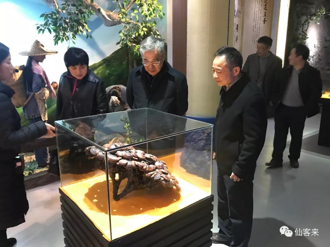 中國靈芝十大品牌|仙客來靈芝|仙客來靈芝破壁孢子粉|仙客來孢子油|仙客來靈芝飲片|仙客來破壁孢子粉|仙客來靈芝中藥飲片|馳名商標(biāo)|www.aimlin.com|
