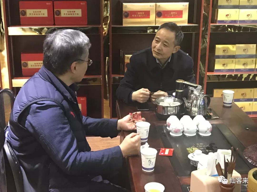 杭州亞運(yùn)會官方靈芝產(chǎn)品供應(yīng)商|杭州亞運(yùn)會官方供應(yīng)商|中國靈芝十大品牌|仙客來靈芝|仙客來靈芝破壁孢子粉|仙客來孢子油|仙客來靈芝飲片|仙客來破壁孢子粉|靈芝孢子油|孢子粉|靈芝破壁孢子粉|靈芝|中華老字號