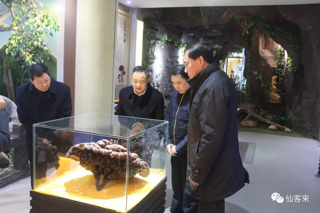 中國靈芝十大品牌|仙客來靈芝|仙客來靈芝破壁孢子粉|仙客來孢子油|仙客來靈芝飲片|仙客來破壁孢子粉|仙客來靈芝中藥飲片|馳名商標|www.aimlin.com|