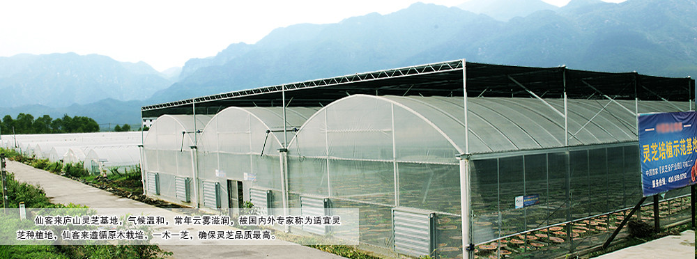 中國靈芝十大品牌|仙客來靈芝|仙客來靈芝破壁孢子粉|仙客來孢子油|仙客來靈芝飲片|仙客來破壁孢子粉|仙客來靈芝中藥飲片|馳名商標(biāo)|www.aimlin.com|