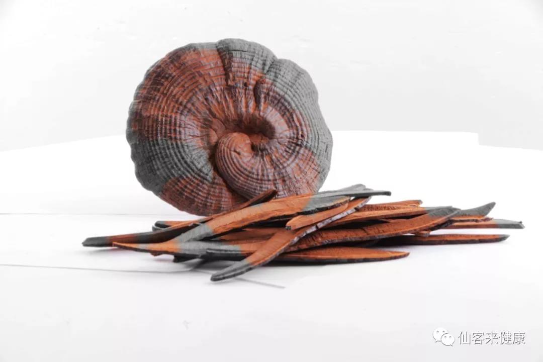 中國靈芝十大品牌|仙客來靈芝|仙客來靈芝破壁孢子粉|仙客來孢子油|仙客來靈芝飲片|仙客來破壁孢子粉|仙客來靈芝中藥飲片|馳名商標(biāo)|www.aimlin.com|