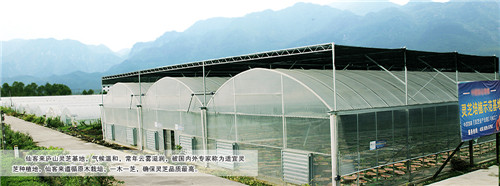 中國靈芝十大品牌|仙客來靈芝|仙客來靈芝破壁孢子粉|仙客來孢子油|仙客來靈芝飲片|仙客來破壁孢子粉|仙客來靈芝中藥飲片|馳名商標|www.aimlin.com|