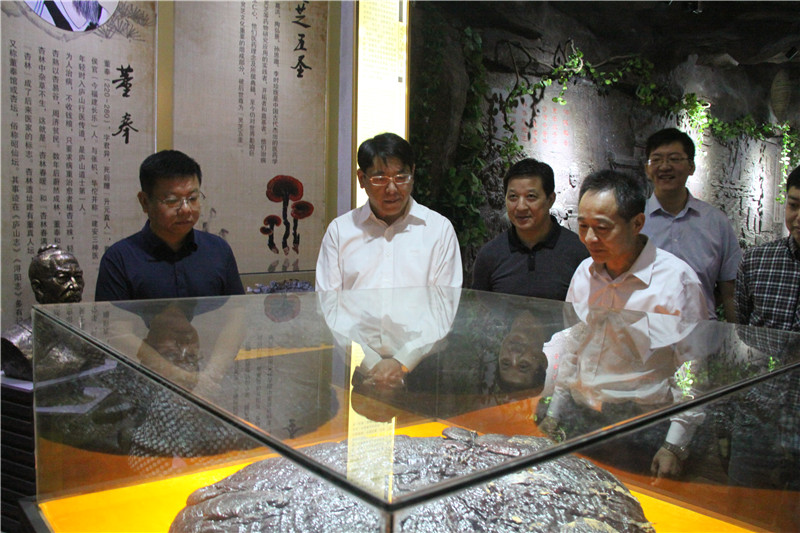 中國靈芝十大品牌|仙客來靈芝|仙客來靈芝破壁孢子粉|仙客來孢子油|仙客來靈芝飲片|仙客來破壁孢子粉|仙客來靈芝中藥飲片|馳名商標|www.aimlin.com|