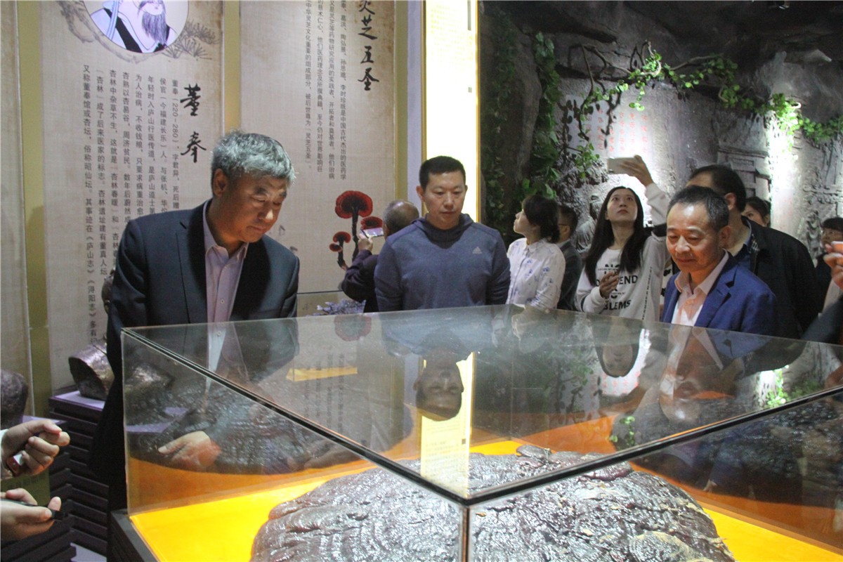 中國(guó)靈芝十大品牌|仙客來(lái)靈芝|仙客來(lái)靈芝破壁孢子粉|仙客來(lái)孢子油|仙客來(lái)靈芝飲片|仙客來(lái)破壁孢子粉|仙客來(lái)靈芝中藥飲片|馳名商標(biāo)|www.aimlin.com|