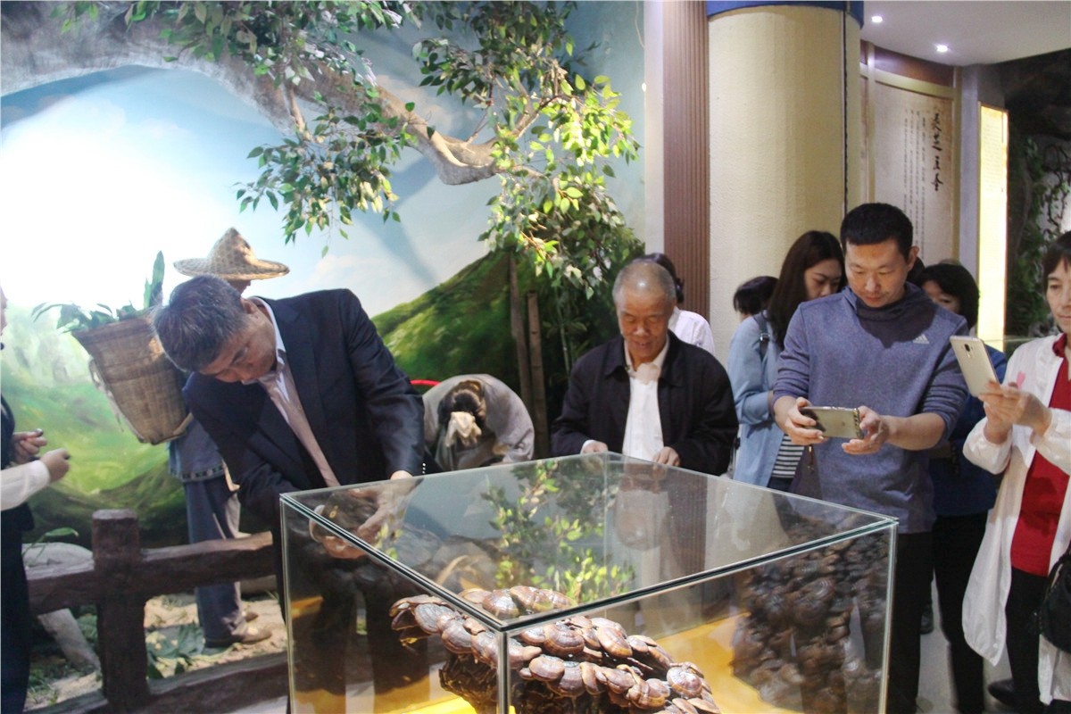 中國(guó)靈芝十大品牌|仙客來(lái)靈芝|仙客來(lái)靈芝破壁孢子粉|仙客來(lái)孢子油|仙客來(lái)靈芝飲片|仙客來(lái)破壁孢子粉|仙客來(lái)靈芝中藥飲片|馳名商標(biāo)|www.aimlin.com|