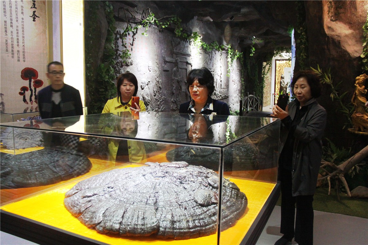 中國靈芝十大品牌|仙客來靈芝|仙客來靈芝破壁孢子粉|仙客來孢子油|仙客來靈芝飲片|仙客來破壁孢子粉|仙客來靈芝中藥飲片|馳名商標|www.aimlin.com|