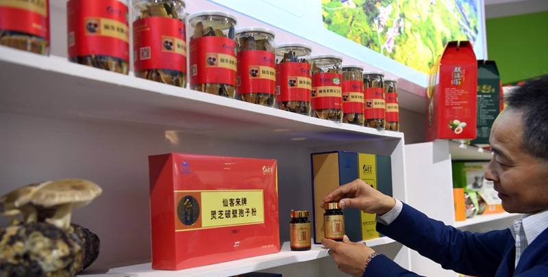 中國靈芝十大品牌|仙客來靈芝|仙客來靈芝破壁孢子粉|仙客來孢子油|仙客來靈芝飲片|仙客來破壁孢子粉|仙客來靈芝中藥飲片|馳名商標(biāo)|www.aimlin.com|