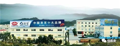 中國靈芝十大品牌|仙客來靈芝|仙客來靈芝破壁孢子粉|仙客來孢子油|仙客來靈芝飲片|仙客來破壁孢子粉|仙客來靈芝中藥飲片|馳名商標(biāo)|www.aimlin.com|