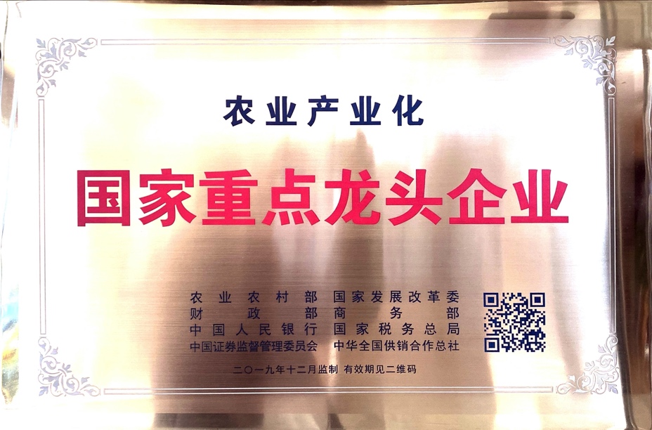 杭州亞運(yùn)會(huì)官方靈芝產(chǎn)品供應(yīng)商|杭州亞運(yùn)會(huì)官方供應(yīng)商|中國(guó)靈芝十大品牌|仙客來(lái)靈芝|仙客來(lái)靈芝破壁孢子粉|仙客來(lái)孢子油|仙客來(lái)靈芝飲片|仙客來(lái)破壁孢子粉|靈芝孢子油|孢子粉|靈芝破壁孢子粉|靈芝|中華老字號(hào)