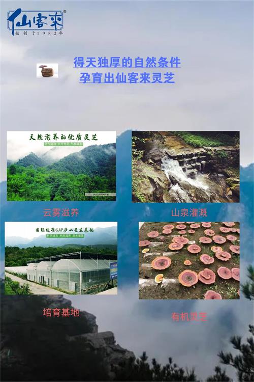 默認標(biāo)題_豎版配圖_2020-06-20-0.jpg