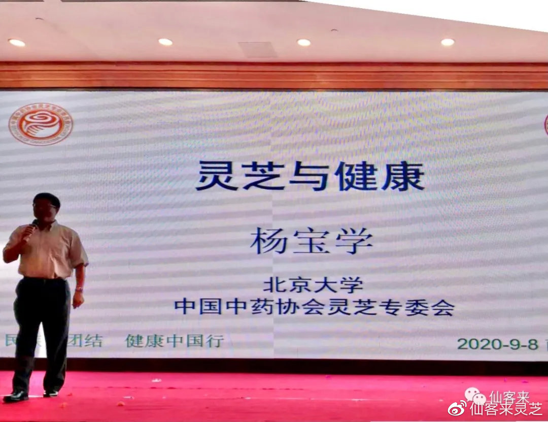 杭州亞運會官方靈芝產(chǎn)品供應商|杭州亞運會官方供應商|中國靈芝十大品牌|仙客來靈芝|仙客來靈芝破壁孢子粉|仙客來孢子油|仙客來靈芝飲片|仙客來破壁孢子粉|靈芝孢子油|孢子粉|靈芝破壁孢子粉|靈芝|中華老字號