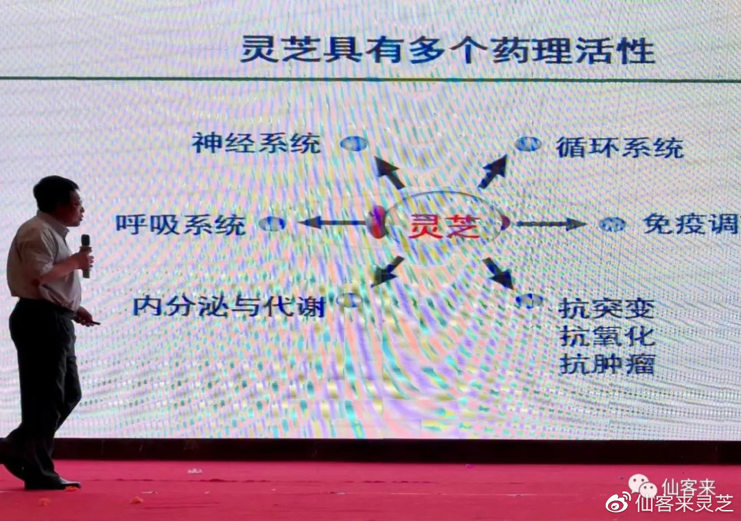 杭州亞運會官方靈芝產(chǎn)品供應商|杭州亞運會官方供應商|中國靈芝十大品牌|仙客來靈芝|仙客來靈芝破壁孢子粉|仙客來孢子油|仙客來靈芝飲片|仙客來破壁孢子粉|靈芝孢子油|孢子粉|靈芝破壁孢子粉|靈芝|中華老字號