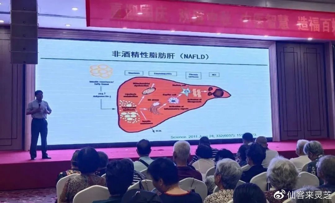 杭州亞運會官方靈芝產(chǎn)品供應商|杭州亞運會官方供應商|中國靈芝十大品牌|仙客來靈芝|仙客來靈芝破壁孢子粉|仙客來孢子油|仙客來靈芝飲片|仙客來破壁孢子粉|靈芝孢子油|孢子粉|靈芝破壁孢子粉|靈芝|中華老字號