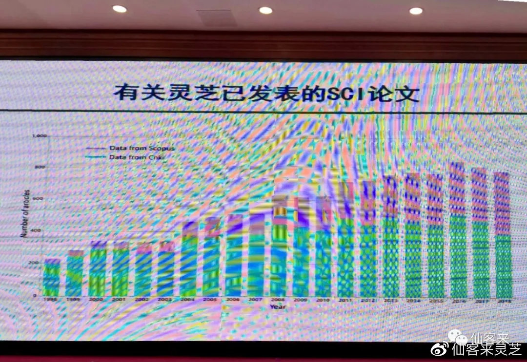 杭州亞運會官方靈芝產(chǎn)品供應商|杭州亞運會官方供應商|中國靈芝十大品牌|仙客來靈芝|仙客來靈芝破壁孢子粉|仙客來孢子油|仙客來靈芝飲片|仙客來破壁孢子粉|靈芝孢子油|孢子粉|靈芝破壁孢子粉|靈芝|中華老字號