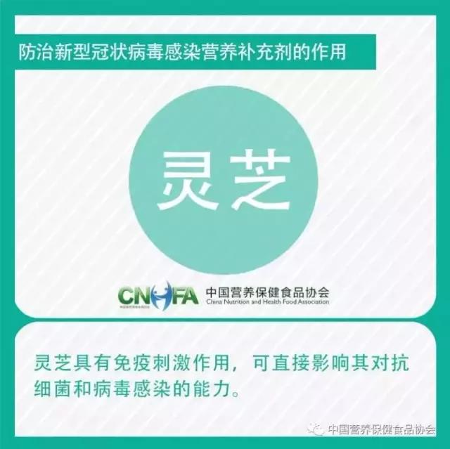杭州亞運(yùn)會(huì)官方靈芝產(chǎn)品供應(yīng)商|杭州亞運(yùn)會(huì)官方供應(yīng)商|中國(guó)靈芝十大品牌|仙客來(lái)靈芝|仙客來(lái)靈芝破壁孢子粉|仙客來(lái)孢子油|仙客來(lái)靈芝飲片|仙客來(lái)破壁孢子粉|靈芝孢子油|孢子粉|靈芝破壁孢子粉|靈芝|中華老字號(hào)