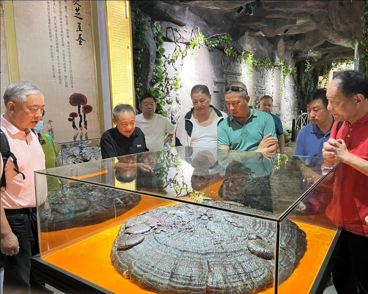 杭州亞運(yùn)會官方靈芝產(chǎn)品供應(yīng)商|杭州亞運(yùn)會官方供應(yīng)商|中國靈芝十大品牌|仙客來靈芝|仙客來靈芝破壁孢子粉|仙客來孢子油|仙客來靈芝飲片|仙客來破壁孢子粉|靈芝孢子油|孢子粉|靈芝破壁孢子粉|靈芝|中華老字號