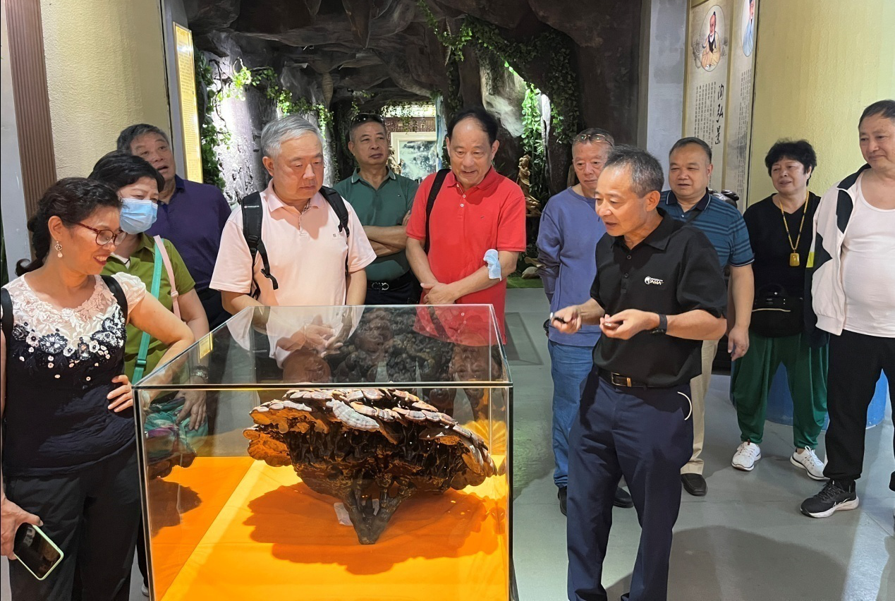 杭州亞運(yùn)會官方靈芝產(chǎn)品供應(yīng)商|杭州亞運(yùn)會官方供應(yīng)商|中國靈芝十大品牌|仙客來靈芝|仙客來靈芝破壁孢子粉|仙客來孢子油|仙客來靈芝飲片|仙客來破壁孢子粉|靈芝孢子油|孢子粉|靈芝破壁孢子粉|靈芝|中華老字號