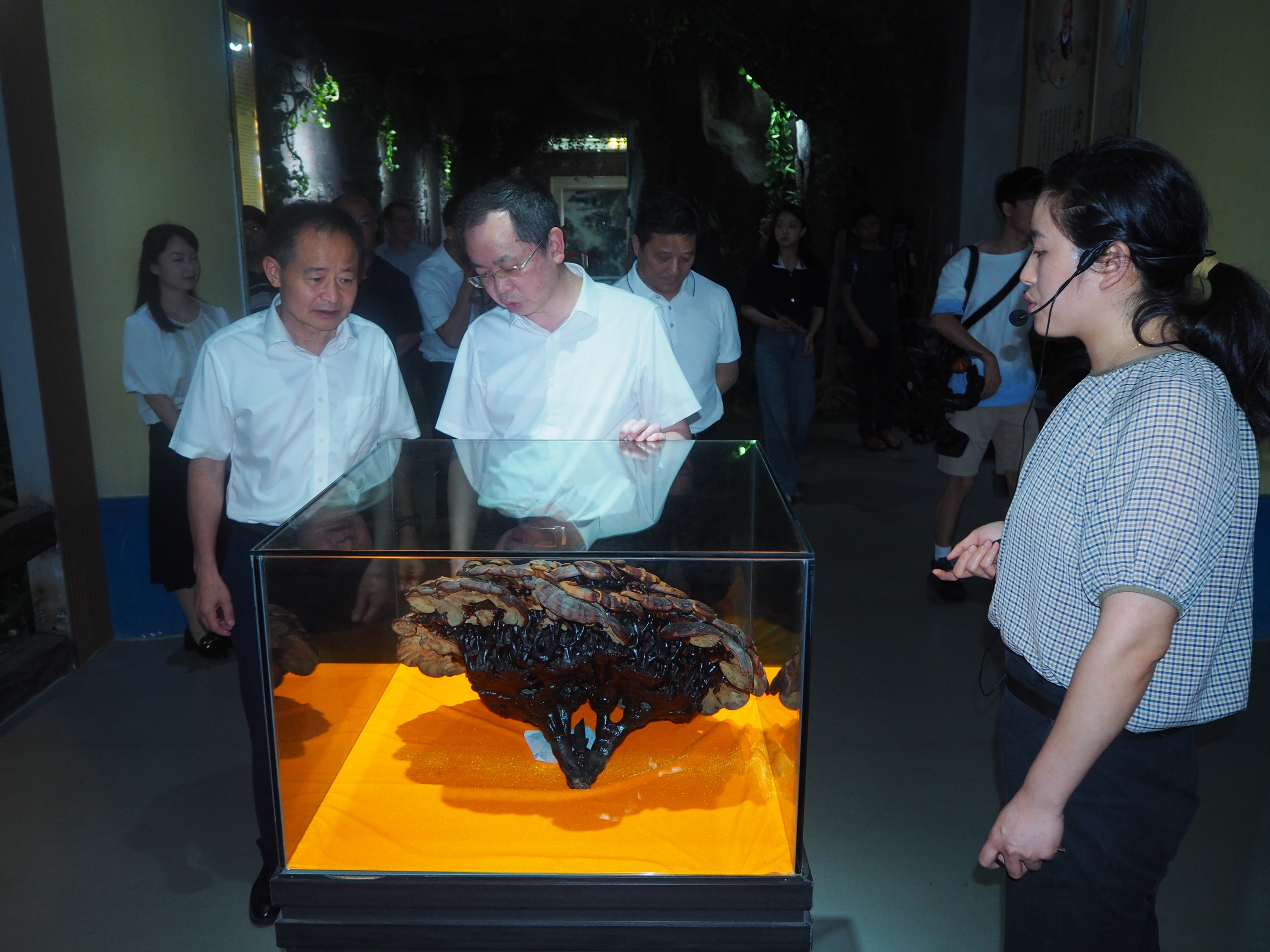 杭州亞運會官方靈芝產(chǎn)品供應商|杭州亞運會官方供應商|中國靈芝十大品牌|仙客來靈芝|仙客來靈芝破壁孢子粉|仙客來孢子油|仙客來靈芝飲片|仙客來破壁孢子粉|靈芝孢子油|孢子粉|靈芝破壁孢子粉|靈芝|中華老字號