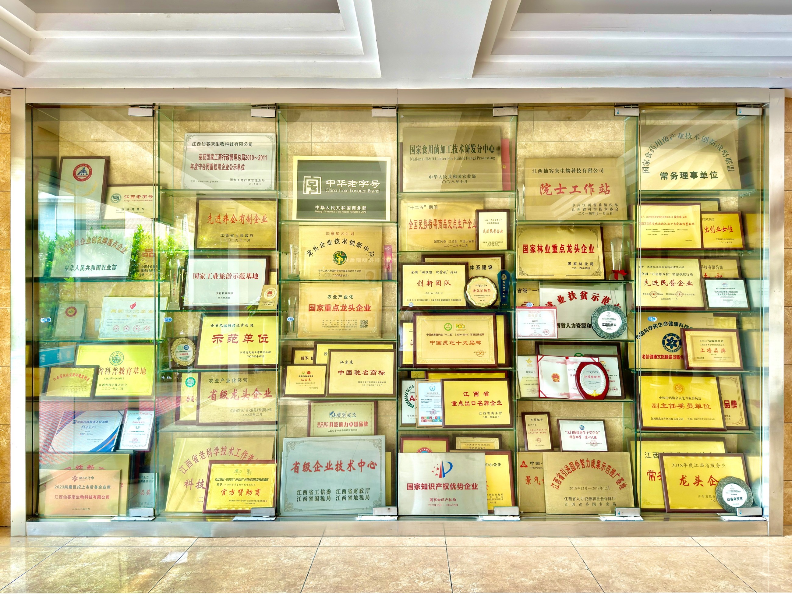 杭州亞運(yùn)會(huì)官方靈芝產(chǎn)品供應(yīng)商|杭州亞運(yùn)會(huì)官方供應(yīng)商|中國(guó)靈芝十大品牌|仙客來(lái)靈芝|仙客來(lái)靈芝破壁孢子粉|仙客來(lái)孢子油|仙客來(lái)靈芝飲片|仙客來(lái)破壁孢子粉|靈芝孢子油|孢子粉|靈芝破壁孢子粉|靈芝|中華老字號(hào)