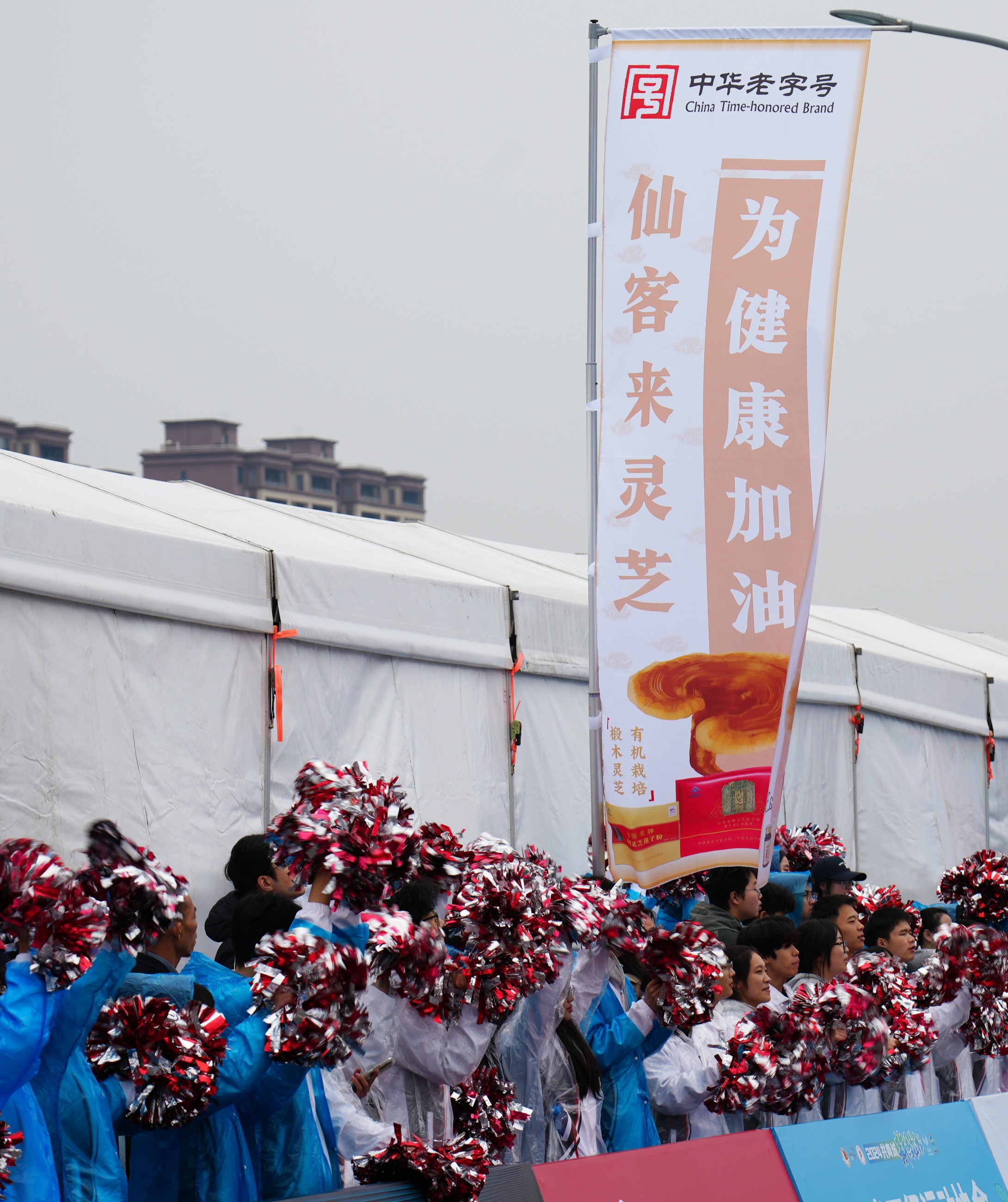 杭州亞運(yùn)會(huì)官方靈芝產(chǎn)品供應(yīng)商|杭州亞運(yùn)會(huì)官方供應(yīng)商|中國靈芝十大品牌|仙客來靈芝|仙客來靈芝破壁孢子粉|仙客來孢子油|仙客來靈芝飲片|仙客來破壁孢子粉|靈芝孢子油|孢子粉|靈芝破壁孢子粉|靈芝|中華老字號