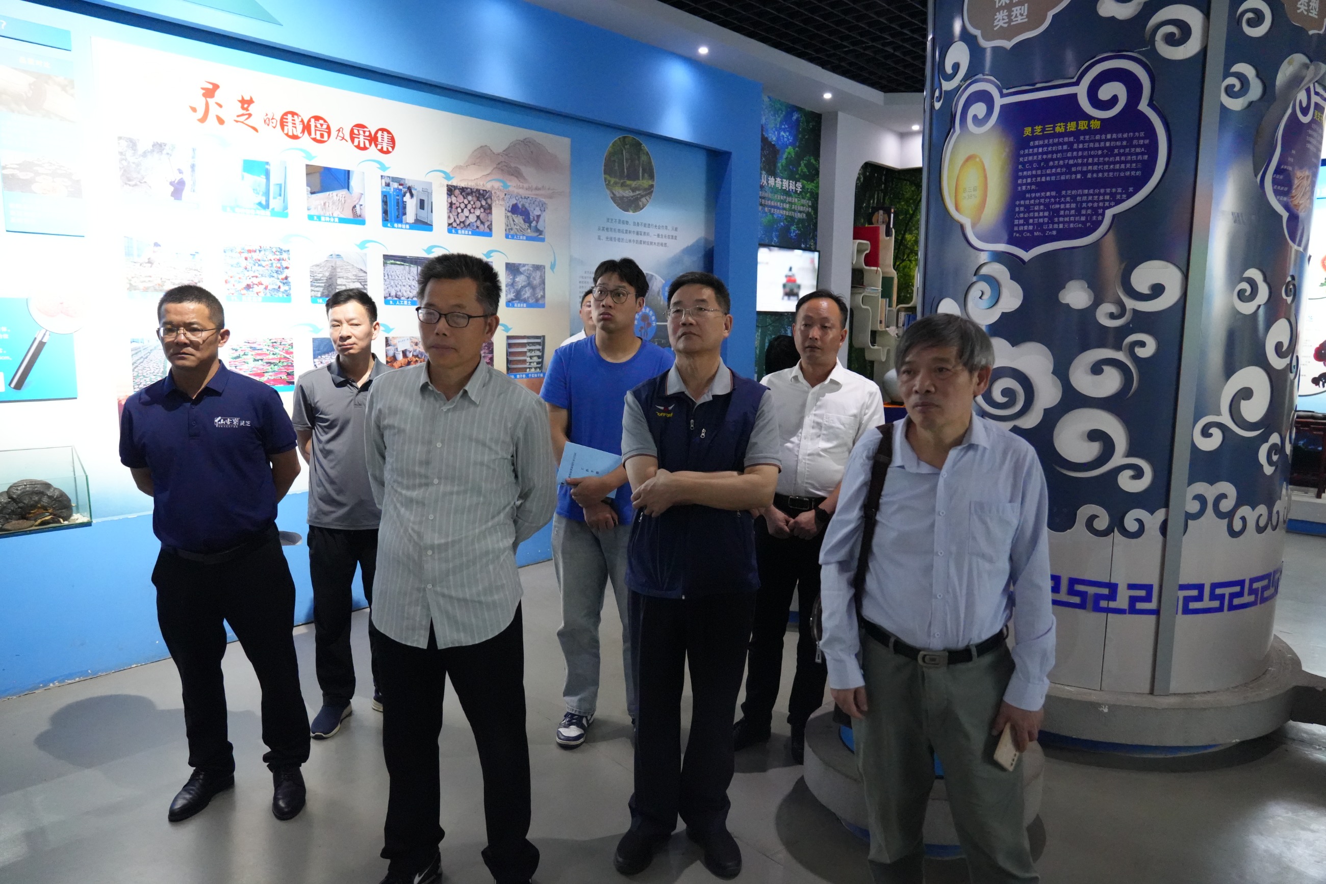 杭州亞運會官方靈芝產(chǎn)品供應商|杭州亞運會官方供應商|中國靈芝十大品牌|仙客來靈芝|仙客來靈芝破壁孢子粉|仙客來孢子油|仙客來靈芝飲片|仙客來破壁孢子粉|靈芝孢子油|孢子粉|靈芝破壁孢子粉|靈芝|中華老字號