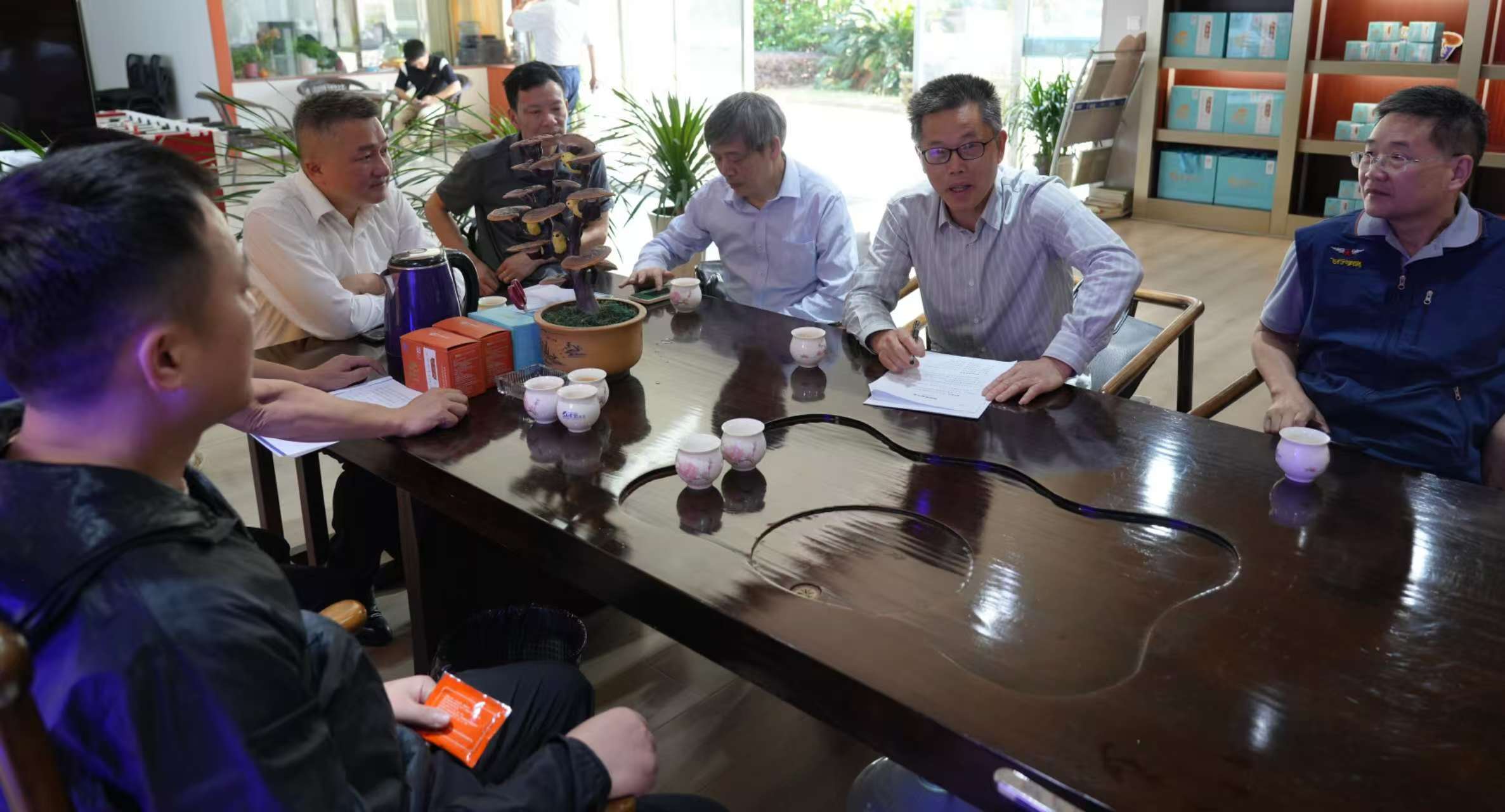 杭州亞運會官方靈芝產(chǎn)品供應商|杭州亞運會官方供應商|中國靈芝十大品牌|仙客來靈芝|仙客來靈芝破壁孢子粉|仙客來孢子油|仙客來靈芝飲片|仙客來破壁孢子粉|靈芝孢子油|孢子粉|靈芝破壁孢子粉|靈芝|中華老字號