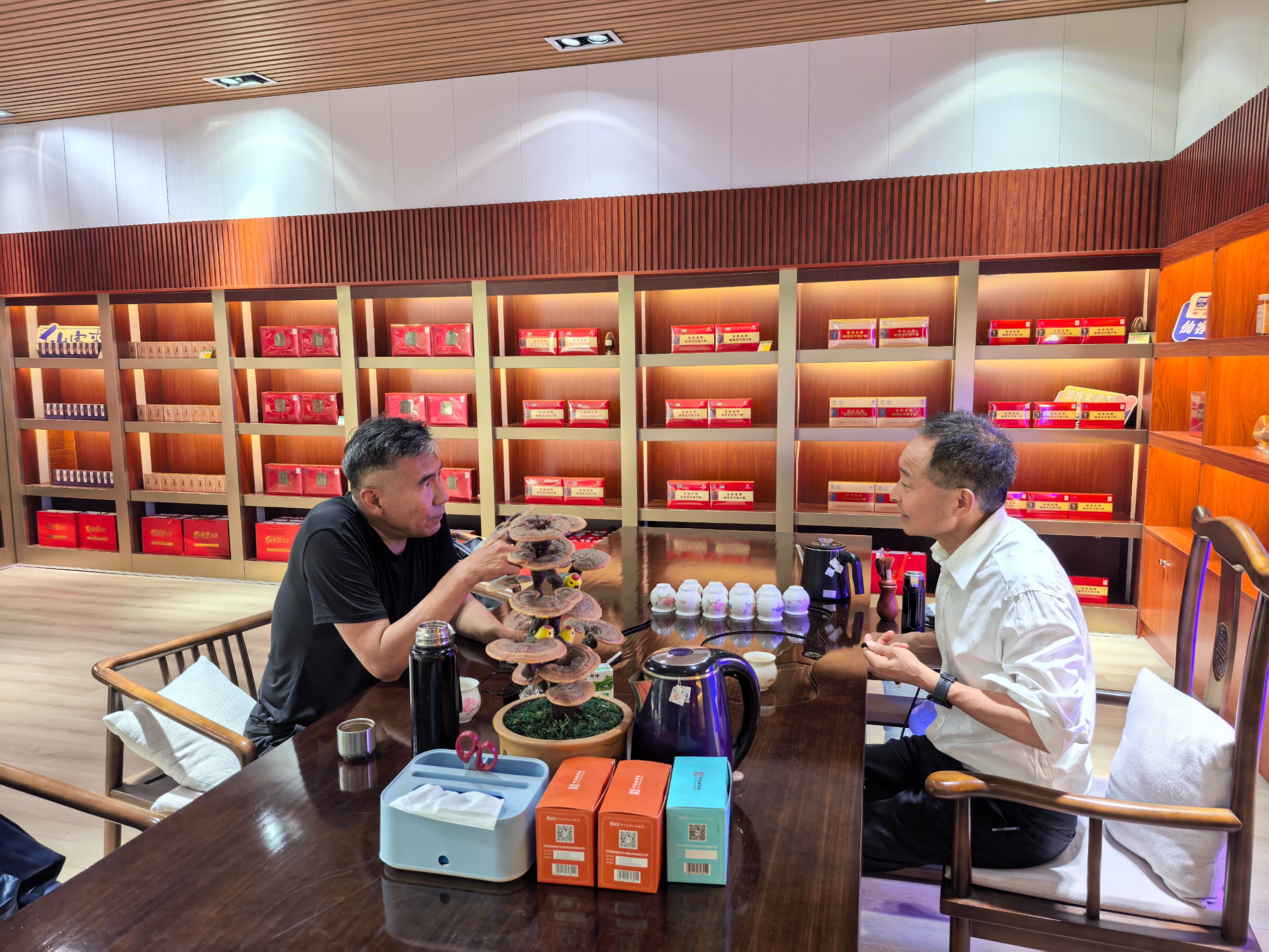 杭州亞運(yùn)會(huì)官方靈芝產(chǎn)品供應(yīng)商|杭州亞運(yùn)會(huì)官方供應(yīng)商|中國(guó)靈芝十大品牌|仙客來(lái)靈芝|仙客來(lái)靈芝破壁孢子粉|仙客來(lái)孢子油|仙客來(lái)靈芝飲片|仙客來(lái)破壁孢子粉|靈芝孢子油|孢子粉|靈芝破壁孢子粉|靈芝|中華老字號(hào) 杭州亞運(yùn)會(huì)官方靈芝產(chǎn)品供應(yīng)商|杭州亞運(yùn)會(huì)官方供應(yīng)商|中國(guó)靈芝十大品牌|仙客來(lái)靈芝|仙客來(lái)靈芝破壁孢子粉|仙客來(lái)孢子油|仙客來(lái)靈芝飲片|仙客來(lái)破壁孢子粉|靈芝孢子油|孢子粉|靈芝破壁孢子粉|靈芝|中華老字號(hào)