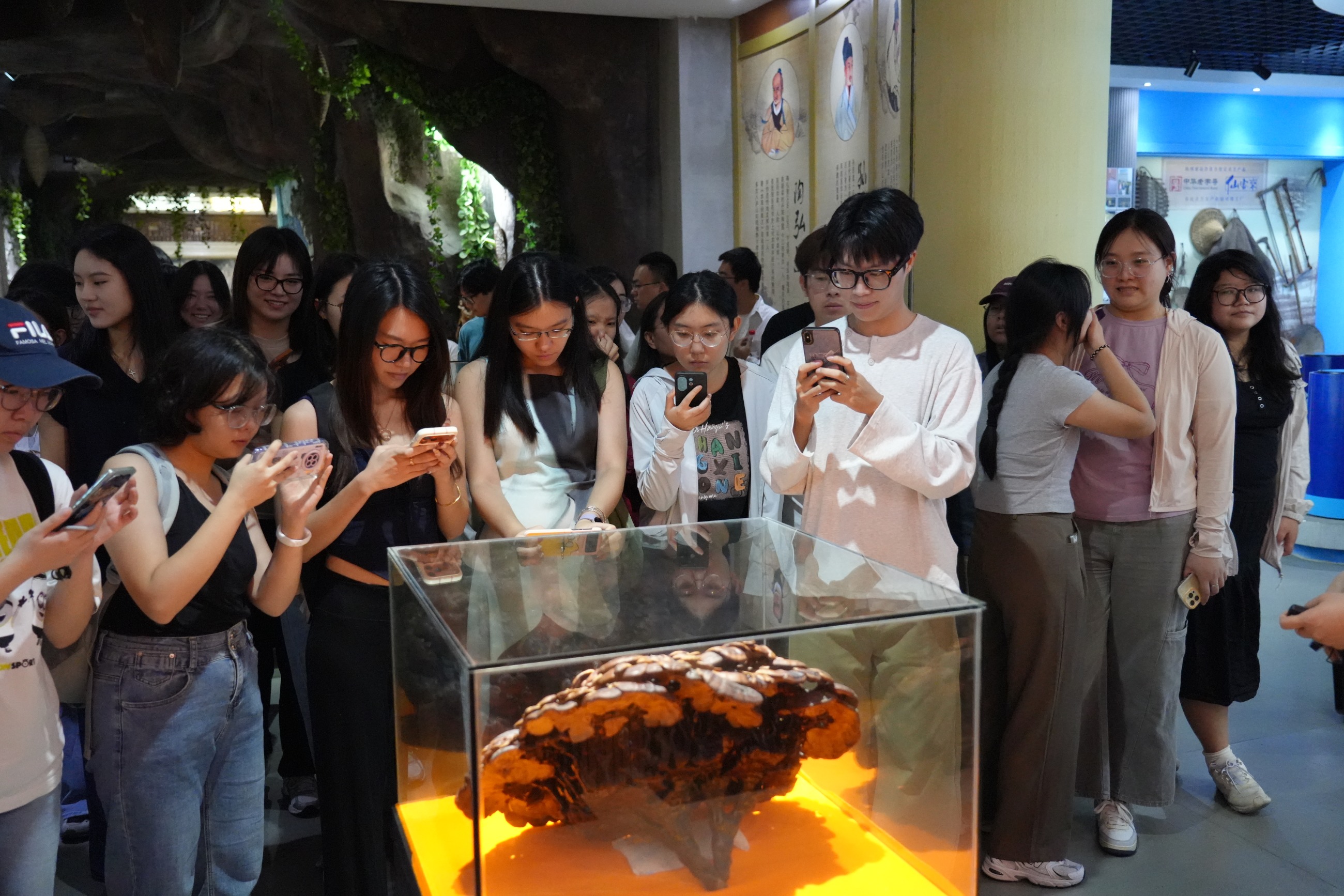 杭州亞運會官方靈芝產品供應商|杭州亞運會官方供應商|中國靈芝十大品牌|仙客來靈芝|仙客來靈芝破壁孢子粉|仙客來孢子油|仙客來靈芝飲片|仙客來破壁孢子粉|靈芝孢子油|孢子粉|靈芝破壁孢子粉|靈芝|中華老字號 杭州亞運會官方靈芝產品供應商|杭州亞運會官方供應商|中國靈芝十大品牌|仙客來靈芝|仙客來靈芝破壁孢子粉|仙客來孢子油|仙客來靈芝飲片|仙客來破壁孢子粉|靈芝孢子油|孢子粉|靈芝破壁孢子粉|靈芝|中華老字號