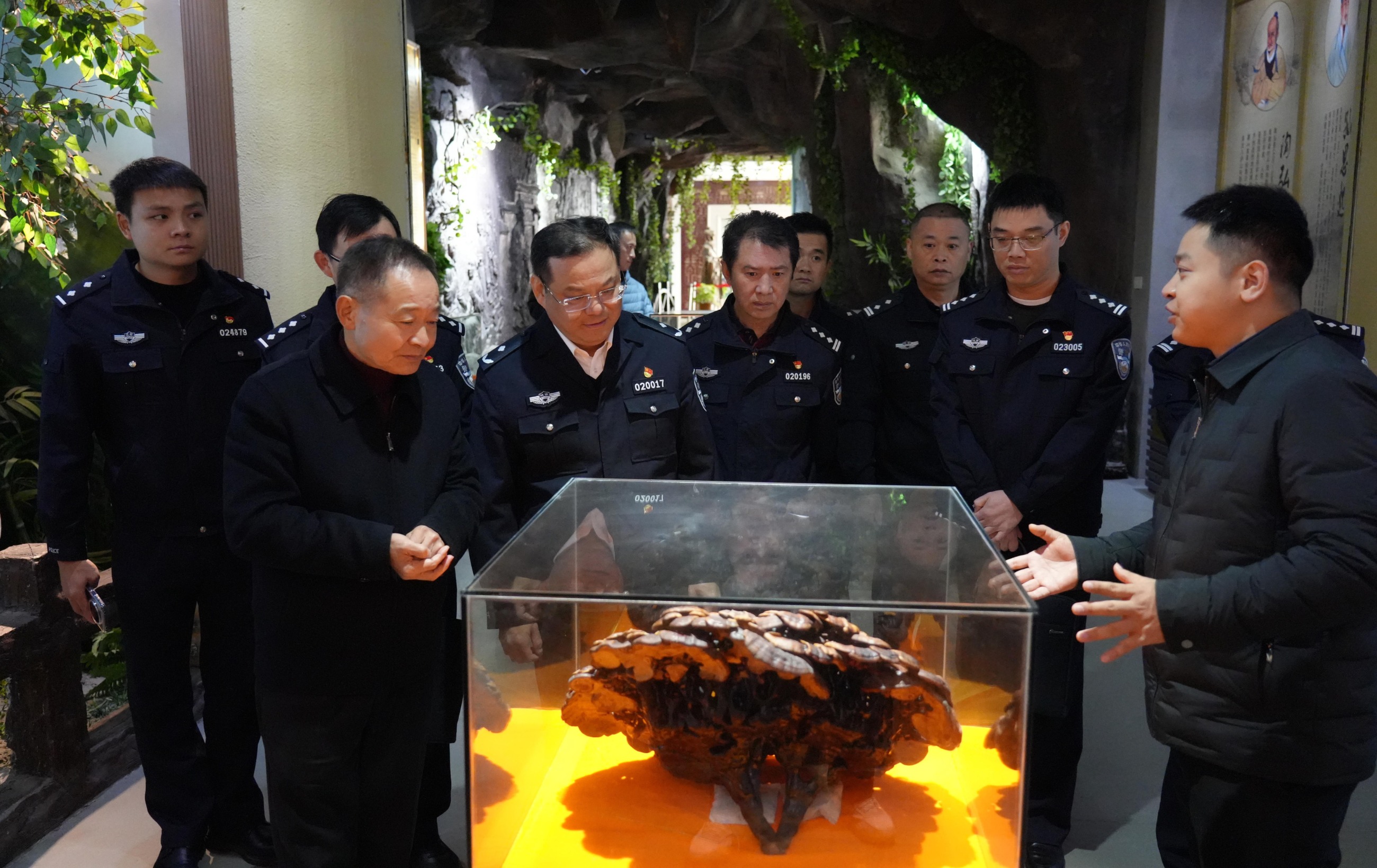 杭州亞運(yùn)會(huì)官方靈芝產(chǎn)品供應(yīng)商|杭州亞運(yùn)會(huì)官方供應(yīng)商|中國(guó)靈芝十大品牌|仙客來靈芝|仙客來靈芝破壁孢子粉|仙客來孢子油|仙客來靈芝飲片|仙客來破壁孢子粉|靈芝孢子油|孢子粉|靈芝破壁孢子粉|靈芝|中華老字號(hào) 杭州亞運(yùn)會(huì)官方靈芝產(chǎn)品供應(yīng)商|杭州亞運(yùn)會(huì)官方供應(yīng)商|中國(guó)靈芝十大品牌|仙客來靈芝|仙客來靈芝破壁孢子粉|仙客來孢子油|仙客來靈芝飲片|仙客來破壁孢子粉|靈芝孢子油|孢子粉|靈芝破壁孢子粉|靈芝|中華老字號(hào)