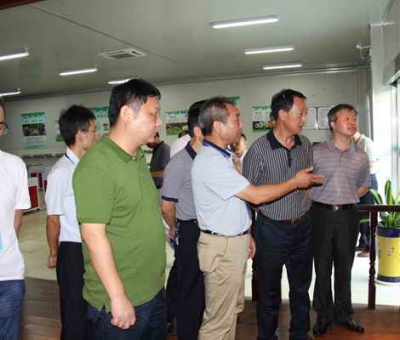 德安縣委、人大、政協(xié)領(lǐng)導考察仙客來公司