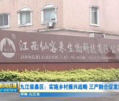 中國人只需要“別具”，缺失了“匠心”！