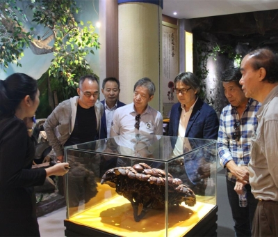 健康“良方”在這！全國政協(xié)委員、世界著名大學(xué)香港大學(xué) 榮譽(yù)院士孫少文博士蒞臨仙客來公司參觀考察