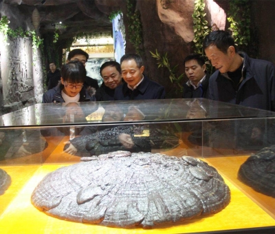 國家民委領導蒞臨仙客來公司考察調研