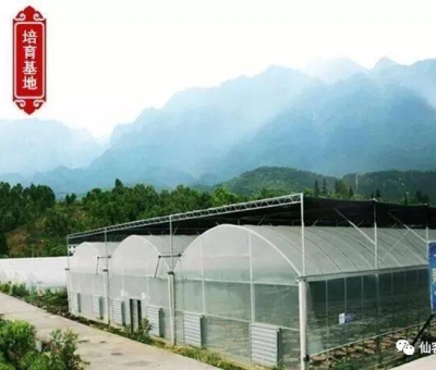 增強(qiáng)免疫力保健食品原料，它排第一