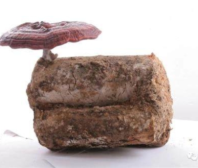 小滿時(shí)節(jié)脾胃失調(diào)，如何養(yǎng)生才健康？