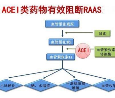 不吃藥，能降低高血壓？