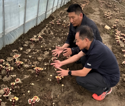 助力少數(shù)民族地區(qū)發(fā)展！潘新華應(yīng)邀前往西藏拉薩市和林芝市 共商產(chǎn)業(yè)發(fā)展良策