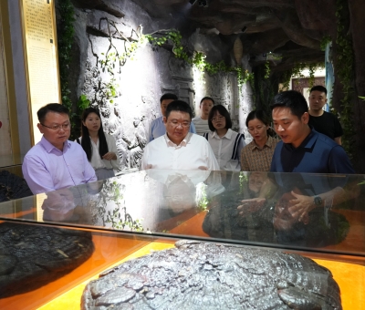 省工信廳副廳長(zhǎng)江紹龍一行蒞臨仙客來調(diào)研